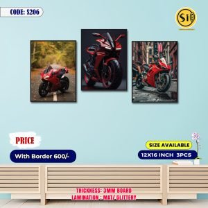 Wall Canvas12*16_206