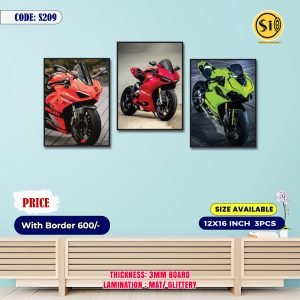 Wall Canvas12*16_209