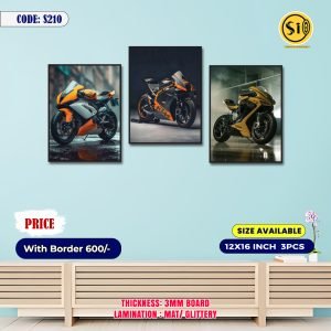 Wall Canvas12*16_210