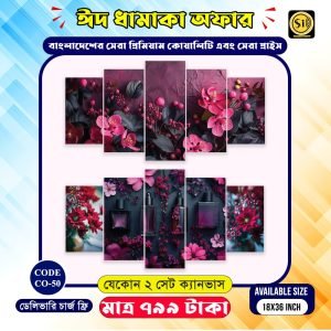 Wall Canvas-co-50